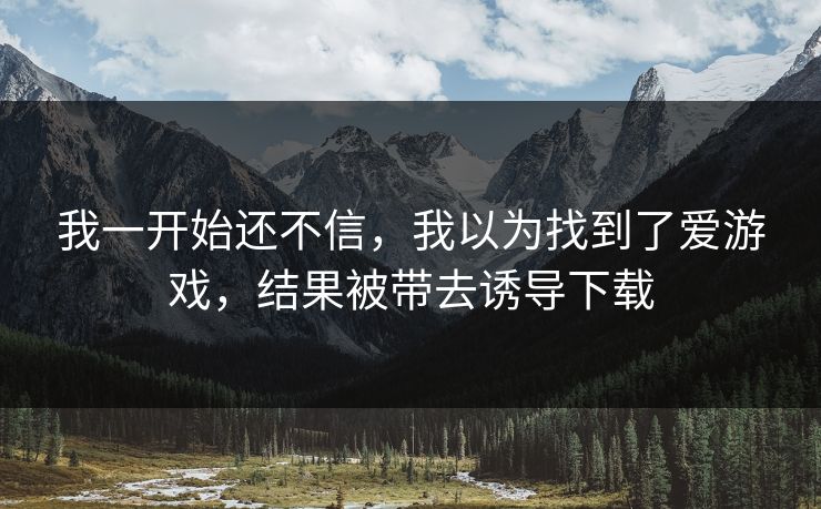 我一开始还不信，我以为找到了爱游戏，结果被带去诱导下载