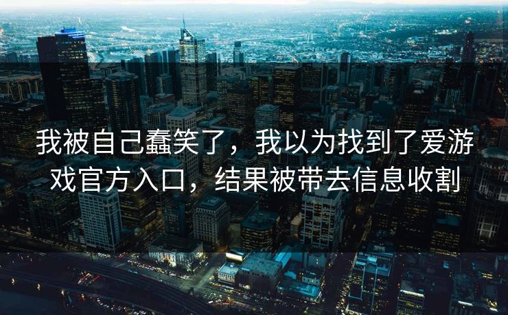 我被自己蠢笑了,我以为找到了爱游戏官方入口,结果被带去信息收割